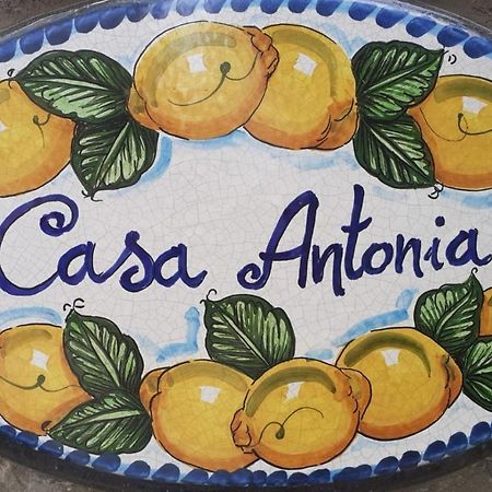 Apartmán Casa Antonia Anacapri  Exteriér fotografie